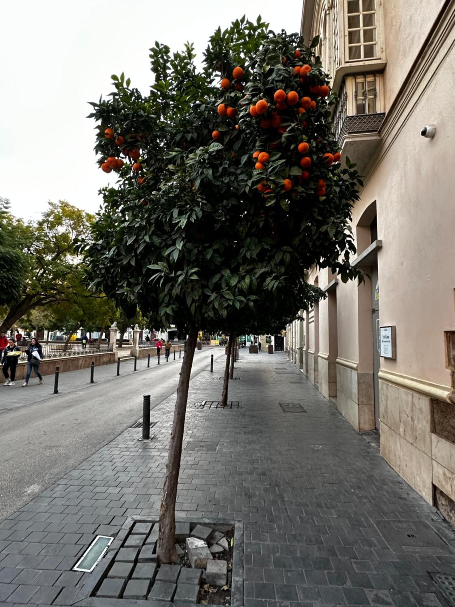 Апартаменты Malaga'S Secret Экстерьер фото